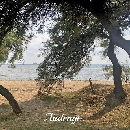 Oha Sun * Audenge